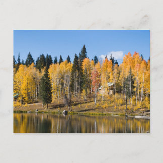 Autumn Aspens at Glacier Springs Postcard