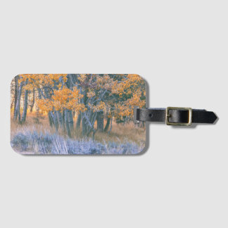 Autumn Aspens Forest Landscape Luggage Tag