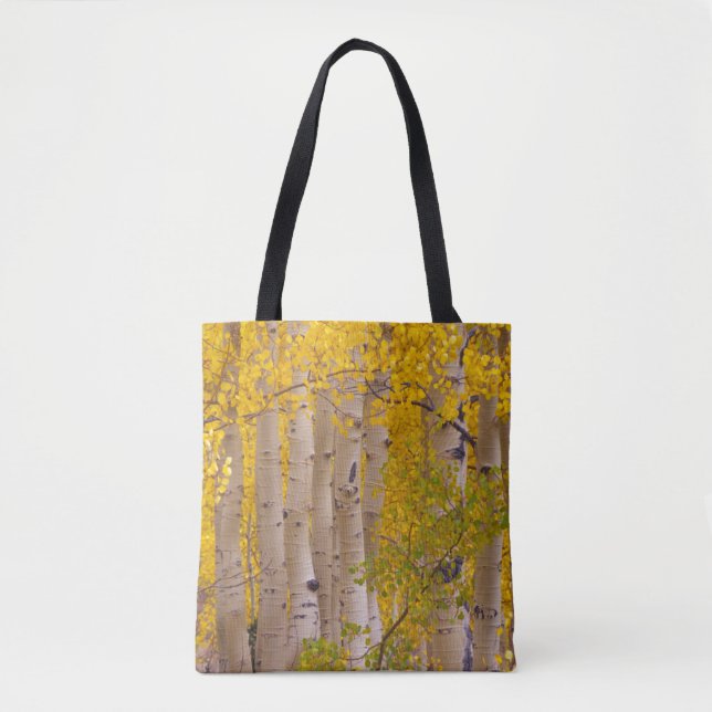 Autumn aspens in Kebler Pass in Colorado Tote Bag (Front)