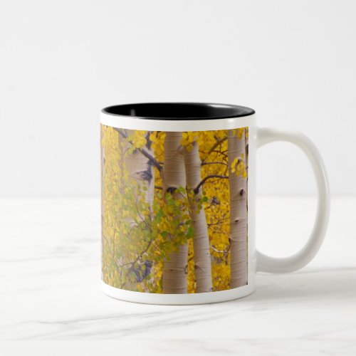 Autumn aspens in Kebler Pass in Colorado Two_Tone Coffee Mug