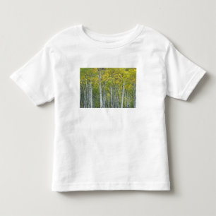 Autumn aspens in McClure pass in Colorado. Toddler T-shirt