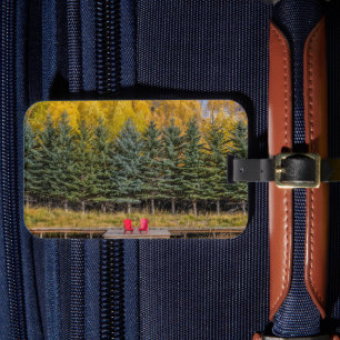 Autumn Aspens Luggage Tag