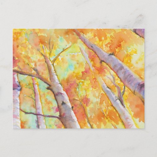 Autumn Aspens Postcard