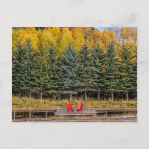 Autumn Aspens Postcard