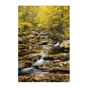 Autumn at Big Creek Acrylic Print