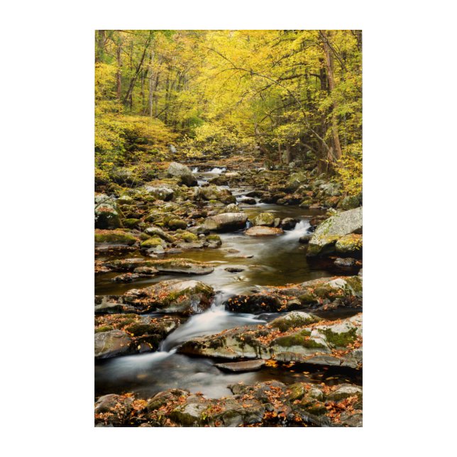 Autumn at Big Creek Acrylic Print (Front)