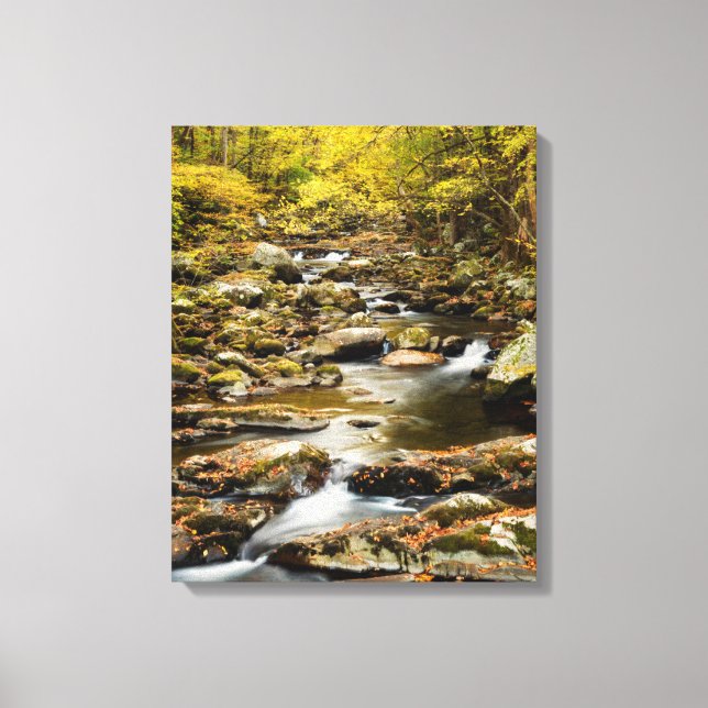Autumn at Big Creek Canvas Print (Front)