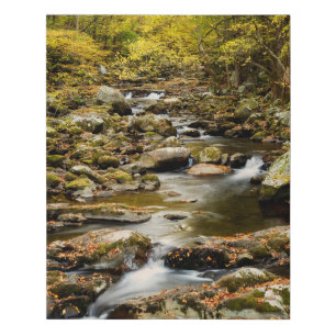 Autumn at Big Creek Faux Canvas Print