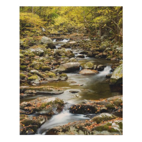 Autumn at Big Creek Faux Canvas Print