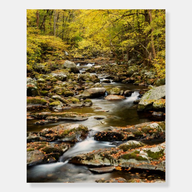 Autumn at Big Creek Foam Board (Front)