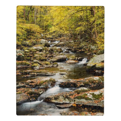 Autumn at Big Creek Jigsaw Puzzle