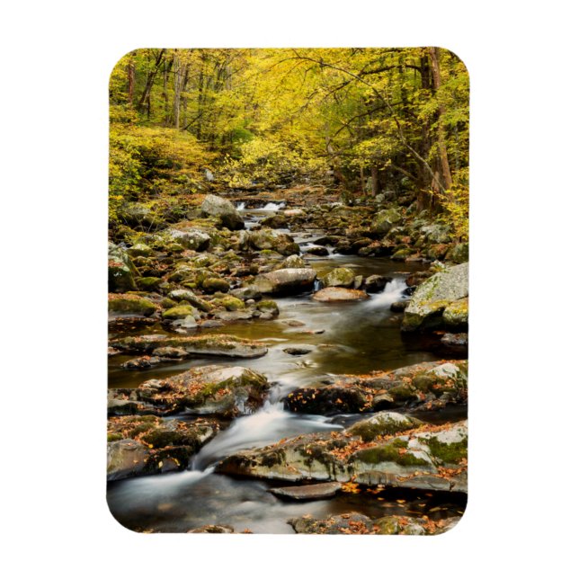 Autumn at Big Creek Magnet (Vertical)