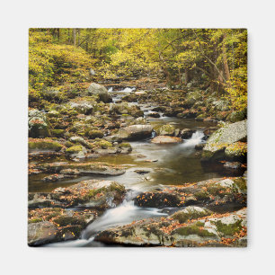 Autumn at Big Creek Magnet