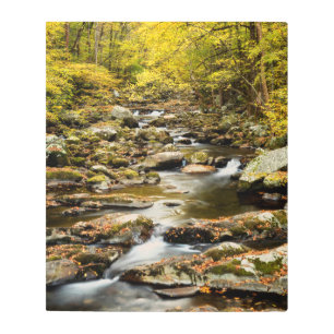 Autumn at Big Creek Metal Print