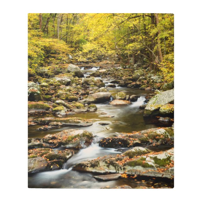 Autumn at Big Creek Metal Print (Front)