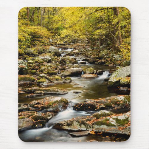 Autumn at Big Creek Mouse Pad