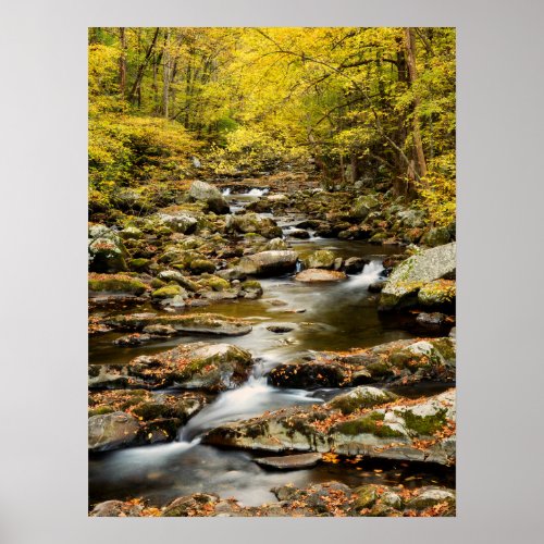 Autumn at Big Creek Poster