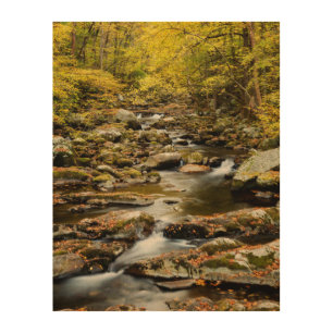 Autumn at Big Creek Wood Wall Art