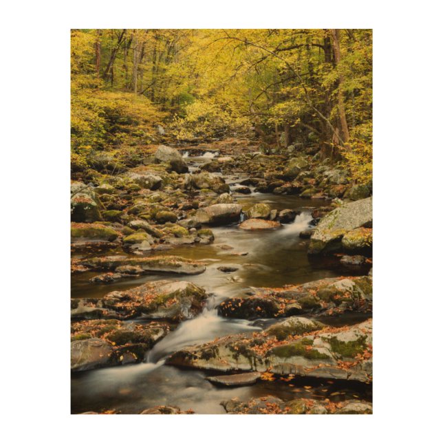 Autumn at Big Creek Wood Wall Art (Front)