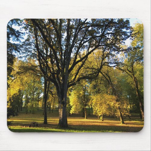 Autumn at Champoeg State Park OR Mouse Pad