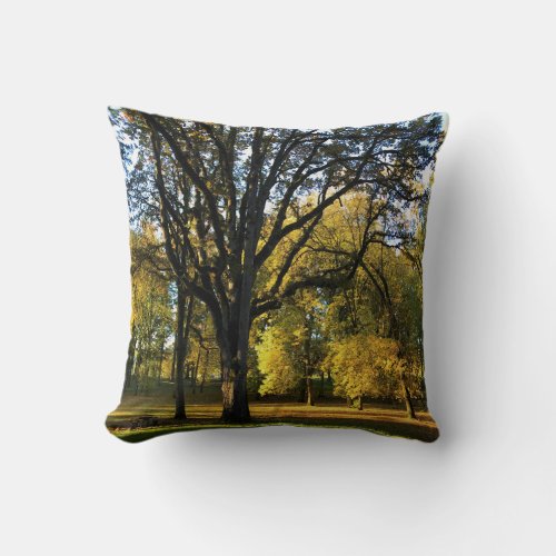 Autumn at Champoeg State Park Oregon Throw Pillow