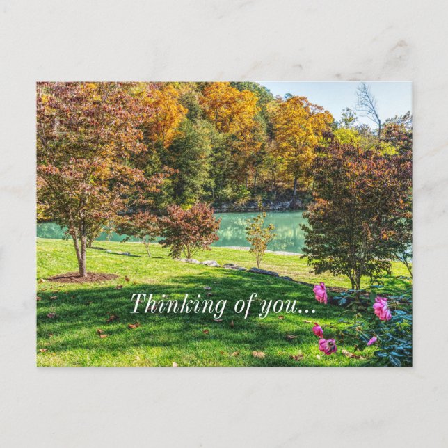 Autumn At Dogwood Thinking Of You Postcard (Front)