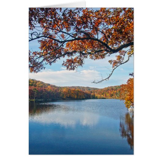 Autumn at Lake Killarney Cards (Front)