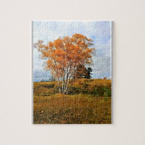 Autumn at Lake Michigan Jigsaw Puzzle