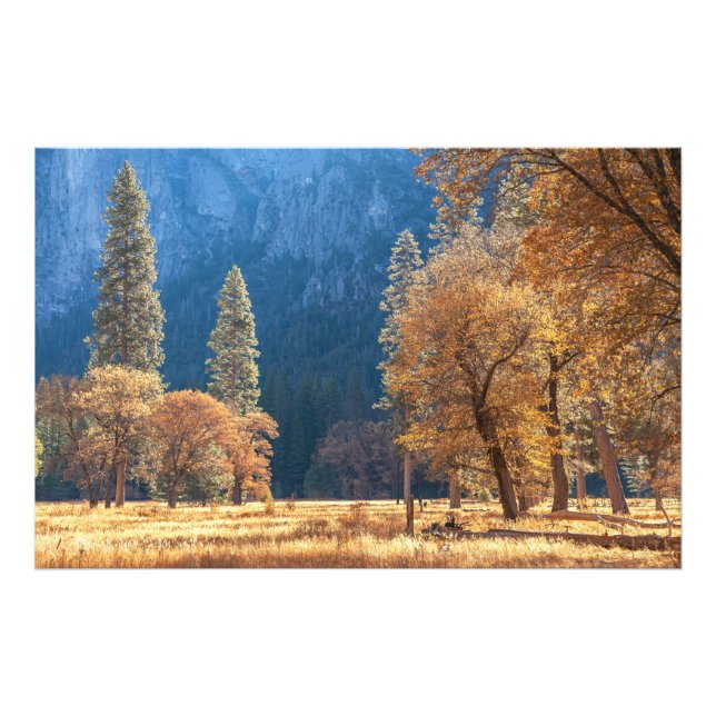 Autumn at Meadow Photo Print (Front)