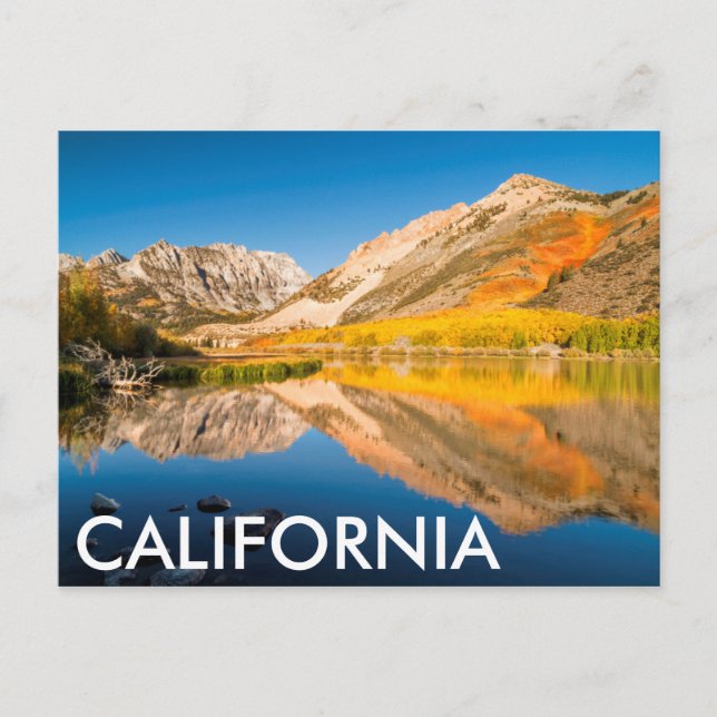 Autumn at North lake, California Postcard (Front)