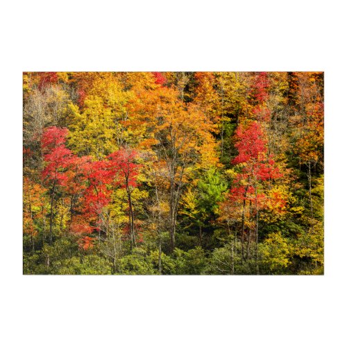 Autumn at Sims Pond North Carolina Blue Ridge Acrylic Print