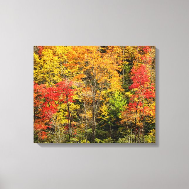 Autumn at Sims Pond North Carolina, Blue Ridge Canvas Print (Front)