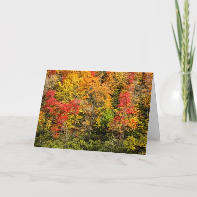 Autumn at Sims Pond North Carolina, Blue Ridge Card (Front)