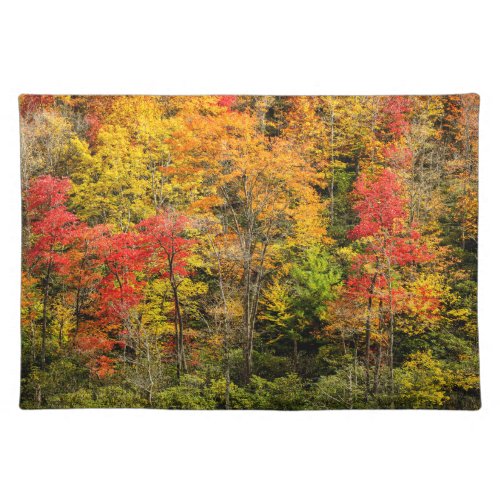 Autumn at Sims Pond North Carolina Blue Ridge Cloth Placemat