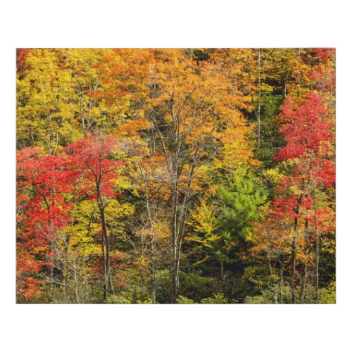 Autumn at Sims Pond North Carolina Blue Ridge Faux Canvas Print