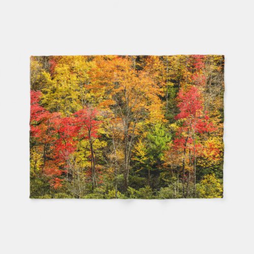 Autumn at Sims Pond North Carolina Blue Ridge Fleece Blanket