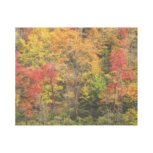 Autumn at Sims Pond North Carolina Blue Ridge Gallery Wrap