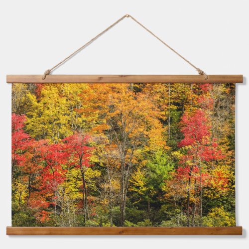 Autumn at Sims Pond North Carolina Blue Ridge Hanging Tapestry