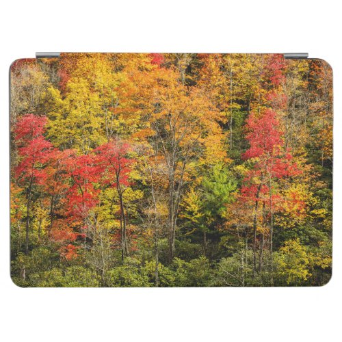 Autumn at Sims Pond North Carolina Blue Ridge iPad Air Cover
