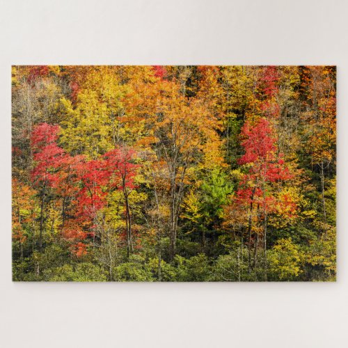 Autumn at Sims Pond North Carolina Blue Ridge Jigsaw Puzzle