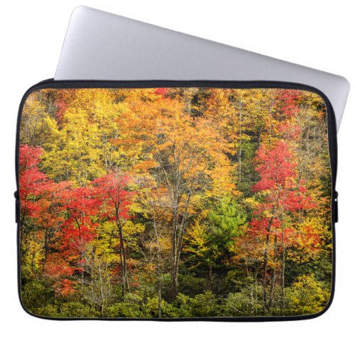 Autumn at Sims Pond North Carolina Blue Ridge Laptop Sleeve