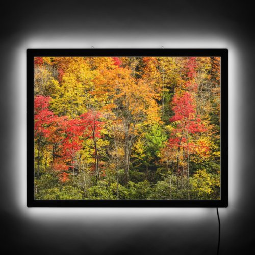 Autumn at Sims Pond North Carolina Blue Ridge LED Sign