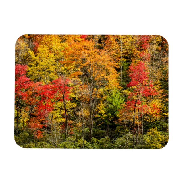 Autumn at Sims Pond North Carolina, Blue Ridge Magnet (Horizontal)