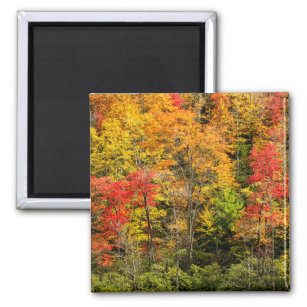 Autumn at Sims Pond North Carolina, Blue Ridge Magnet