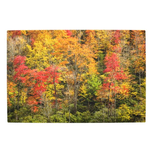 Autumn at Sims Pond North Carolina Blue Ridge Metal Print