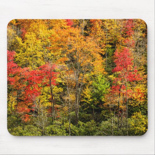 Autumn at Sims Pond North Carolina Blue Ridge Mouse Pad