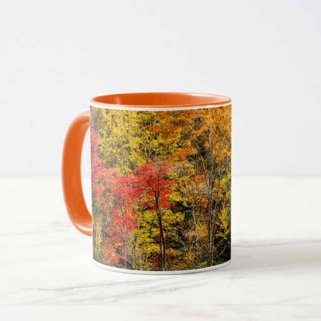 Autumn at Sims Pond North Carolina, Blue Ridge Mug (Front Left)