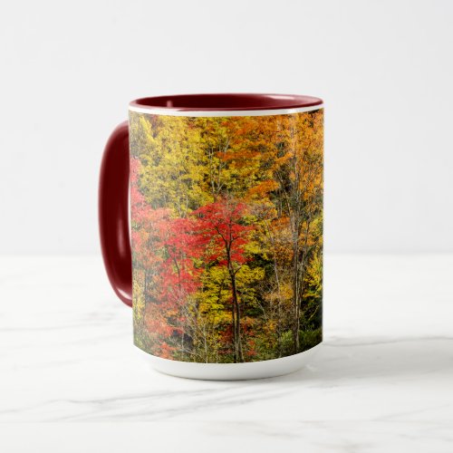 Autumn at Sims Pond North Carolina Blue Ridge Mug