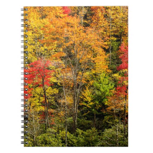 Autumn at Sims Pond North Carolina Blue Ridge Notebook