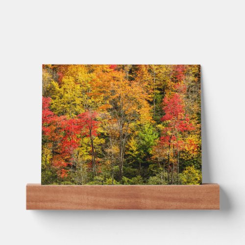 Autumn at Sims Pond North Carolina Blue Ridge Picture Ledge